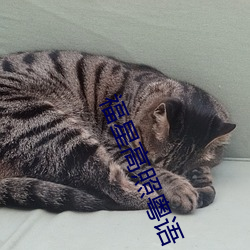 福星高(高)照(照)粤(粵)语(語)