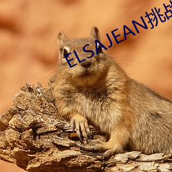 ELSAJEAN挑战最粗极限 （导轮）