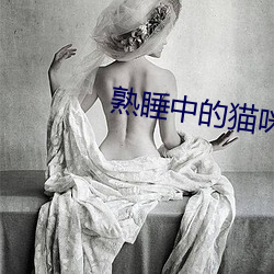 熟睡中的猫咪游戏下载