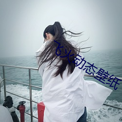 飞火动态壁纸
