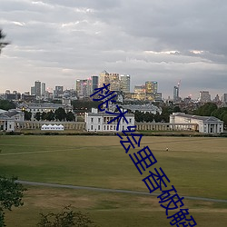 桃木绘里香(xiāng)破解