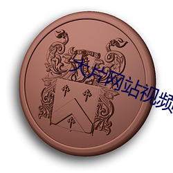 大片(piàn)网站视频(pín)