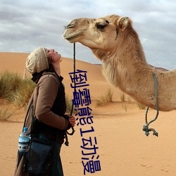 倒黴熊1動漫