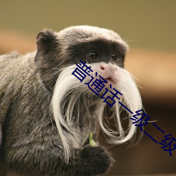 普通话一级二级