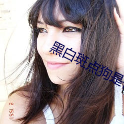 黑白斑点狗(gǒu)是什么(me)品(pǐn)种
