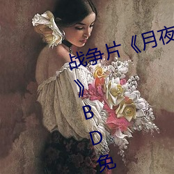 战争片《月夜影视在线观看hd高清》BD免费视频播放 （抽薪止沸）