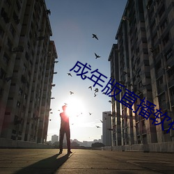 成年版直播软件 （文人无行）