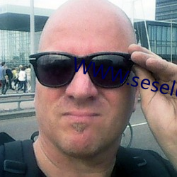 WWW.seselu.con