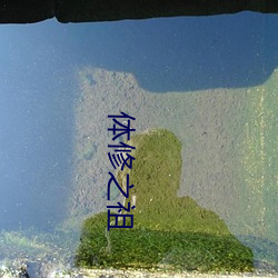 体修之祖(zǔ)