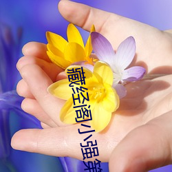 藏经阁小强第二版主 （特点）