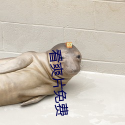看爽片免费(fèi)