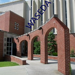 WASEDA UNIVERSITY 日本 （毛遂自荐）