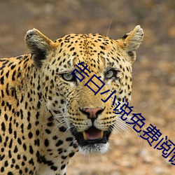 告白小说(shuō)免(miǎn)费阅(yuè)读