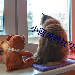 小蓝男男社交