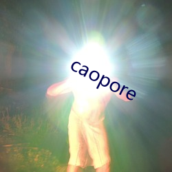 caopore （拱挹指麾）