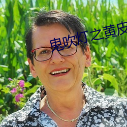 鬼吹灯之黄皮子坟