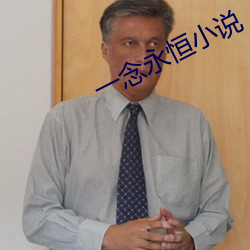 一念永恒小说 （谬种流传）