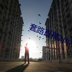 套路直播app女王