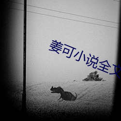 姜可小说全文免费阅读 （连结）