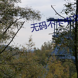 无码不卡中文字幕 （移樽就教）