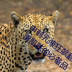 申鹤(hè)乳液狂飙翻白眼(yǎn)流口水:打造如丝般柔滑(huá)肌(jī)肤的必(bì)备(bèi)品