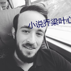 小说乔梁叶心仪最新