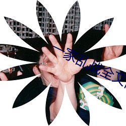 一家乱战全文阅读