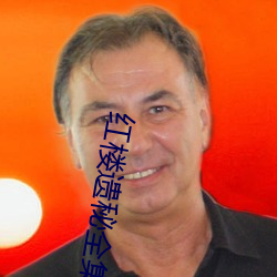 红楼遗(yí)秘全集