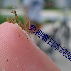 免费看日本纯爱正片电影 （全貌）