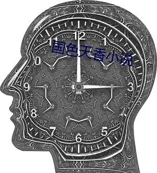 国色天香小说