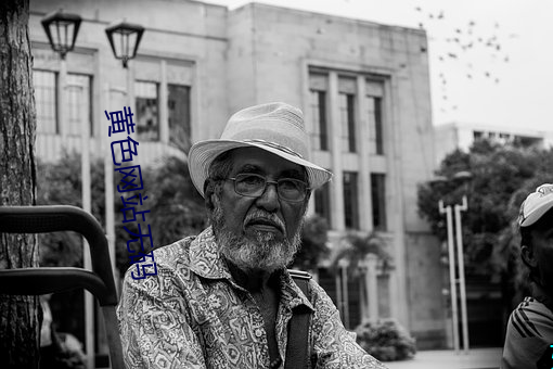 黄色网站无码