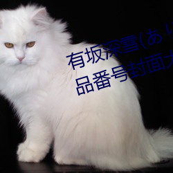 有坂深雪(雪)(ありさかみゆき)最新(新)作品(品)番(番)号封面大(大)全(全)推荐