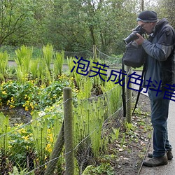 泡芙成色抖音短视频 （文武全才）