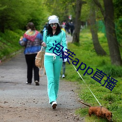 泡(泡)芙(芙)app直播(播)