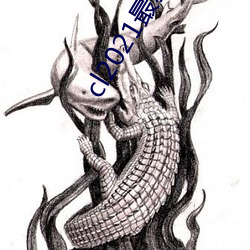 cl2021最新地