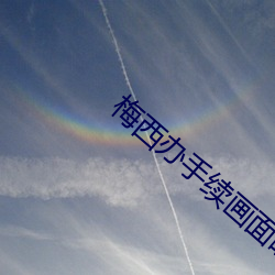 梅西办手续画面曝光 （龙蟠凤逸）