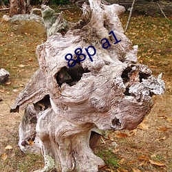 88p a1