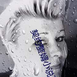 契约赘婿小(xiǎo)说下(xià)载