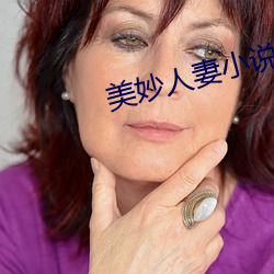 美(měi)妙人妻小说