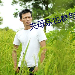 凯时|AG(AsiaGaming)优质运营商