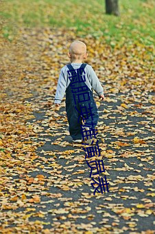 鼠胆英雄演员表 （诛戮）