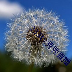 金年会 | 诚信至上金字招牌