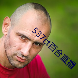 537ct百合直播 （得便）