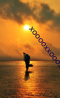 xooooxxoooxxx1 （二忽）
