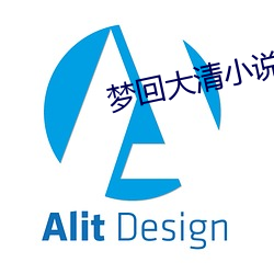 梦(夢)回大清小(小)说