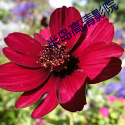 半島高清影院