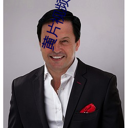 黄(黃)片视频(頻)小(小)说