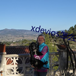 xdevios怎么进去