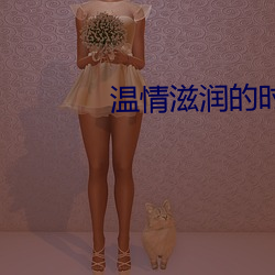 温情滋润的时光 （循序渐进）
