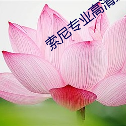 索(suǒ)尼专(zhuān)业高清摄像机